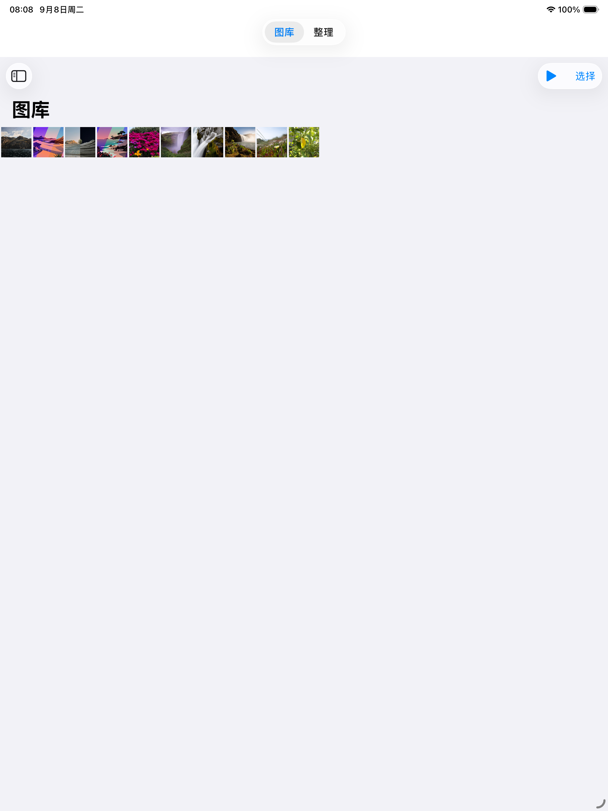 PhotoVault 在 iPad 上显示图库